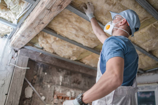 Best Residential Insulation in Dunkirk, NY