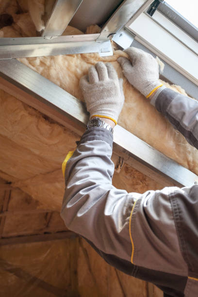 Best Commercial Insulation in Dunkirk, NY